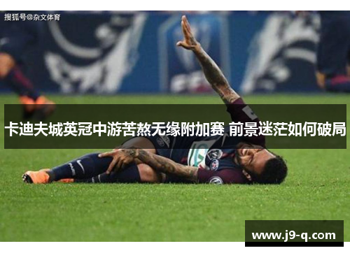 卡迪夫城英冠中游苦熬无缘附加赛 前景迷茫如何破局